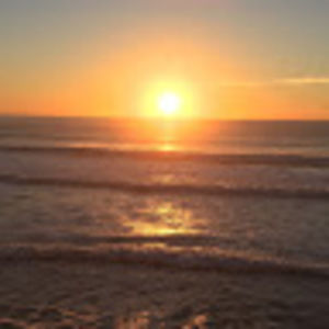 Meet your Posher, Joyce